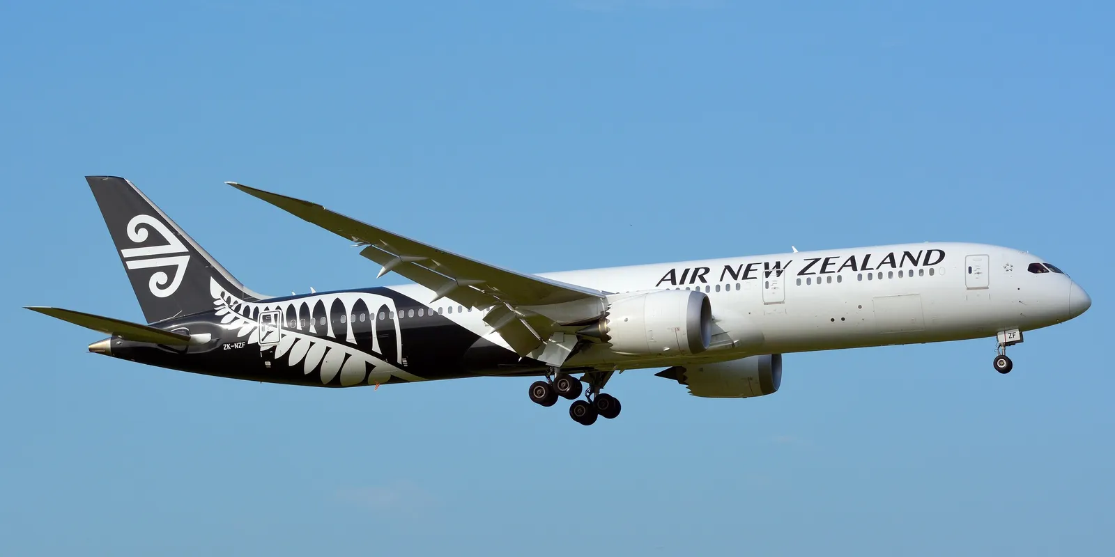 Air New Zealand: flotta, Skycouch e cosa dicono davvero i passeggeri