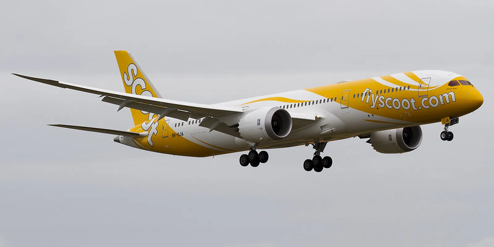 Scoot: la low cost a lungo raggio di Singapore Airlines tra 787 Dreamliner e rotte regionali