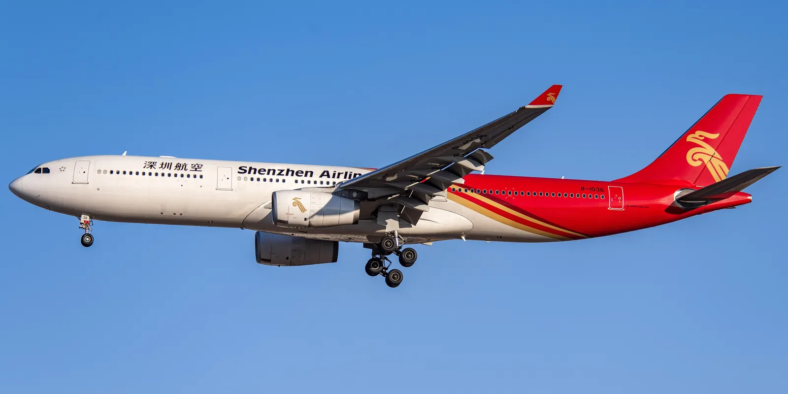 Shenzhen Airlines e Star Alliance: cosa significa davvero per chi vola
