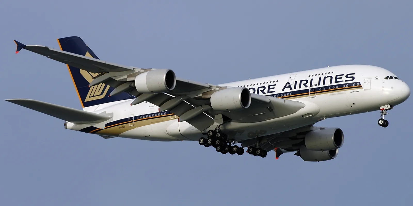 Singapore Airlines: perché resta il riferimento del 5 stelle Skytrax, tra flotta e servizio
