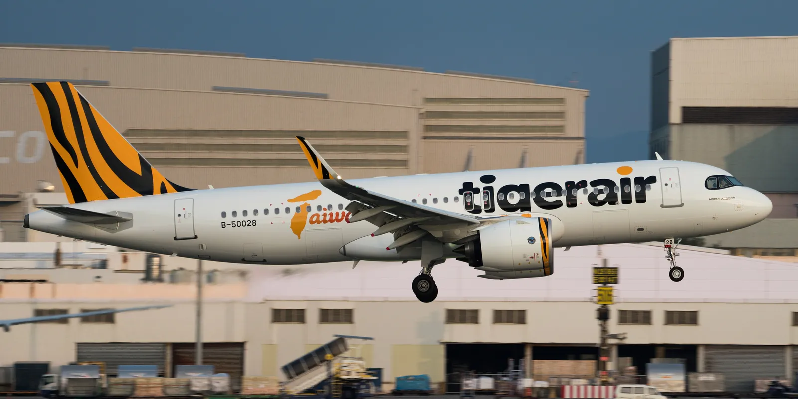 Tigerair Taiwan: Wie der Billigflieger funktioniert, der die Insel mit Japan und Korea verbindet