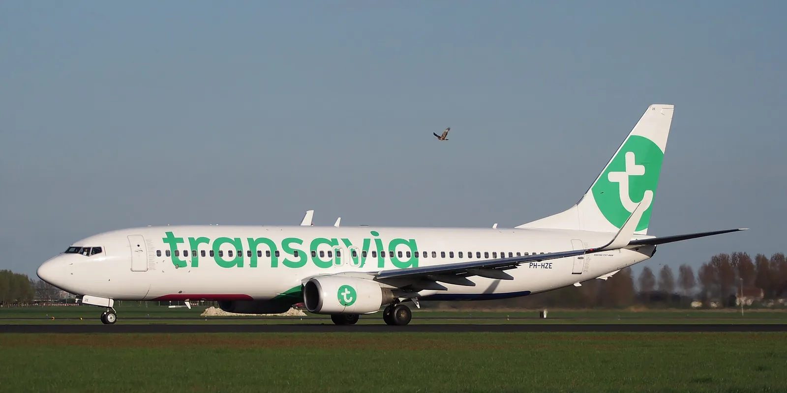 Transavia: la low-cost del gruppo Air France-KLM