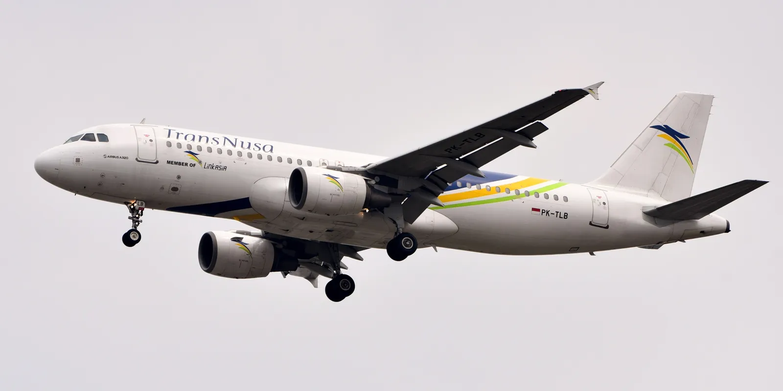 TransNusa: dalla Comac C909 alle rotte internazionali, la trasformazione di una compagnia regionale