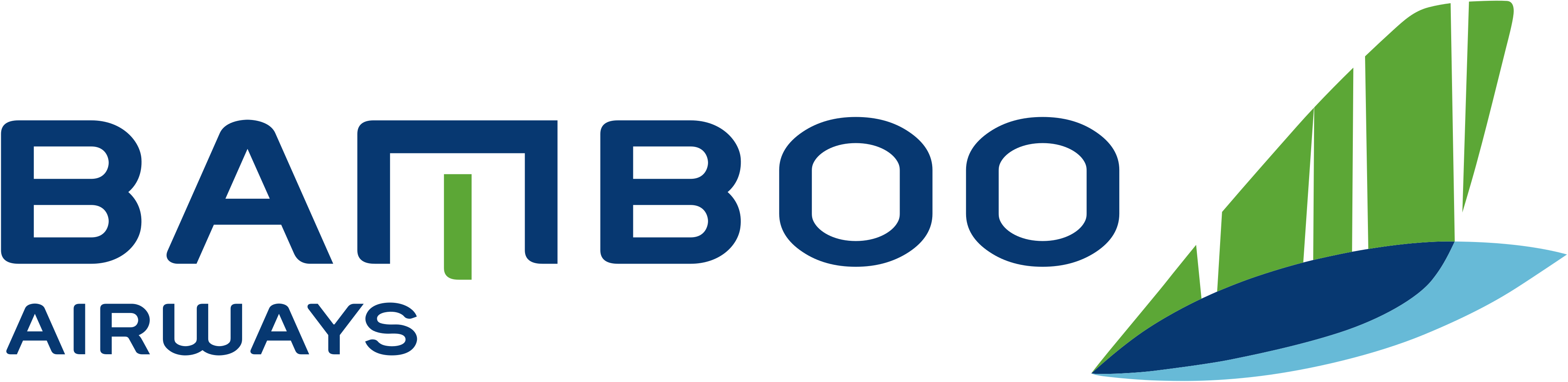 Bamboo Airways
