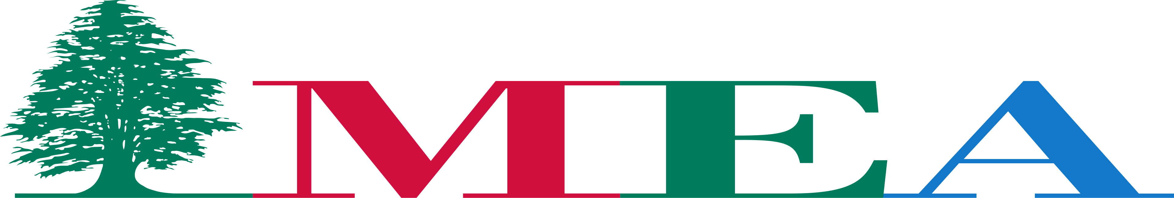 Middle East Airlines