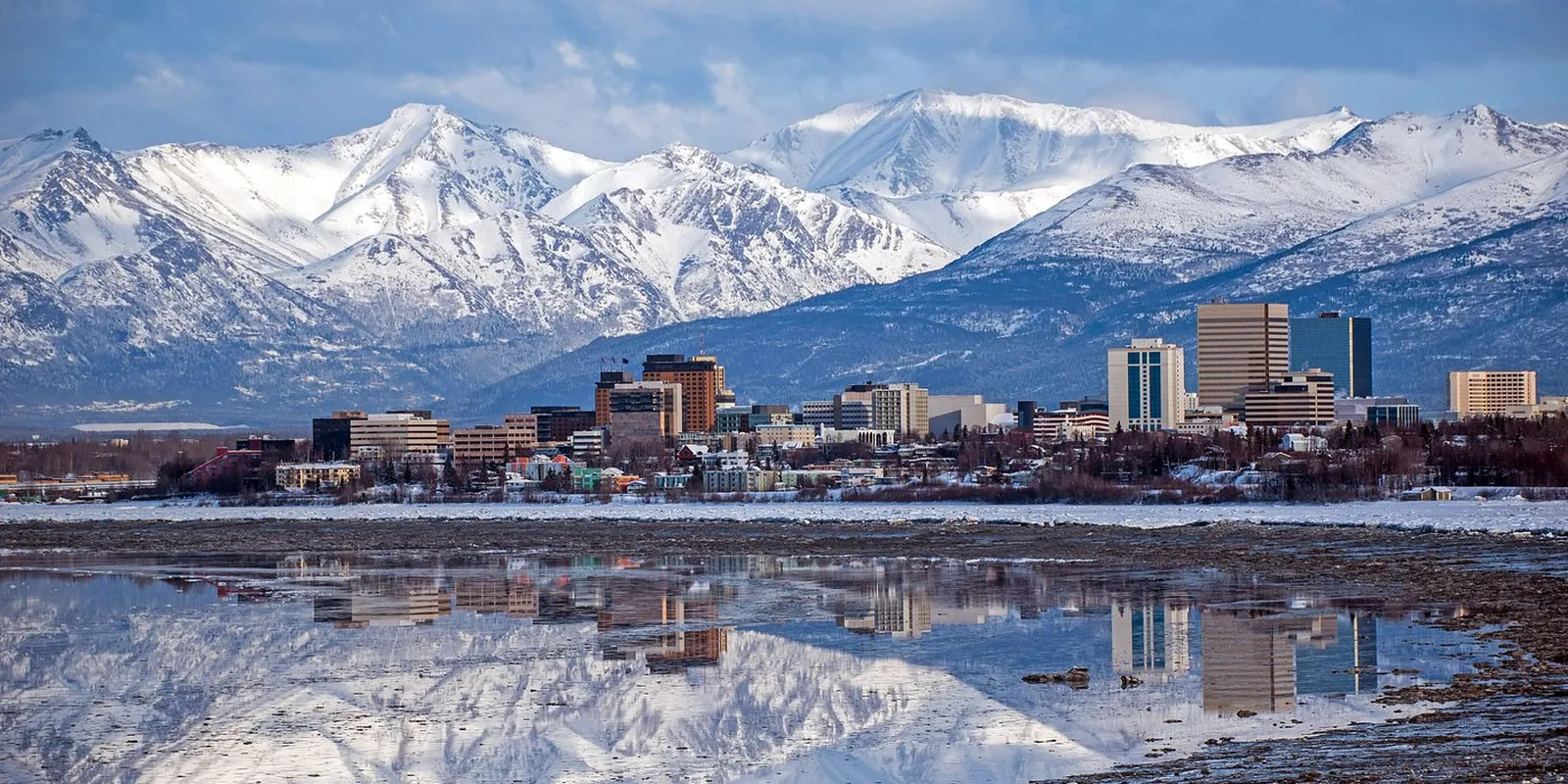 Anchorage: alci in città e il Denali all'orizzonte