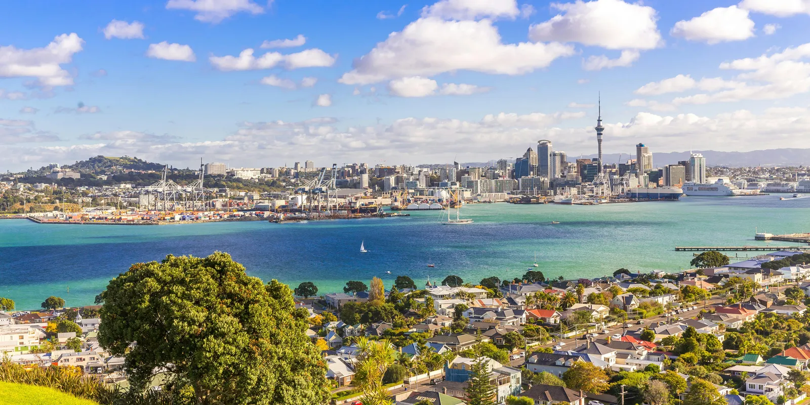 24 ore ad Auckland: cosa vedere
