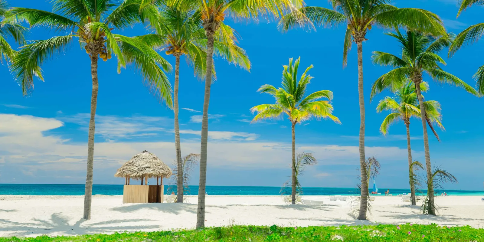 Cayo Coco: flamingo's en eindeloze stranden
