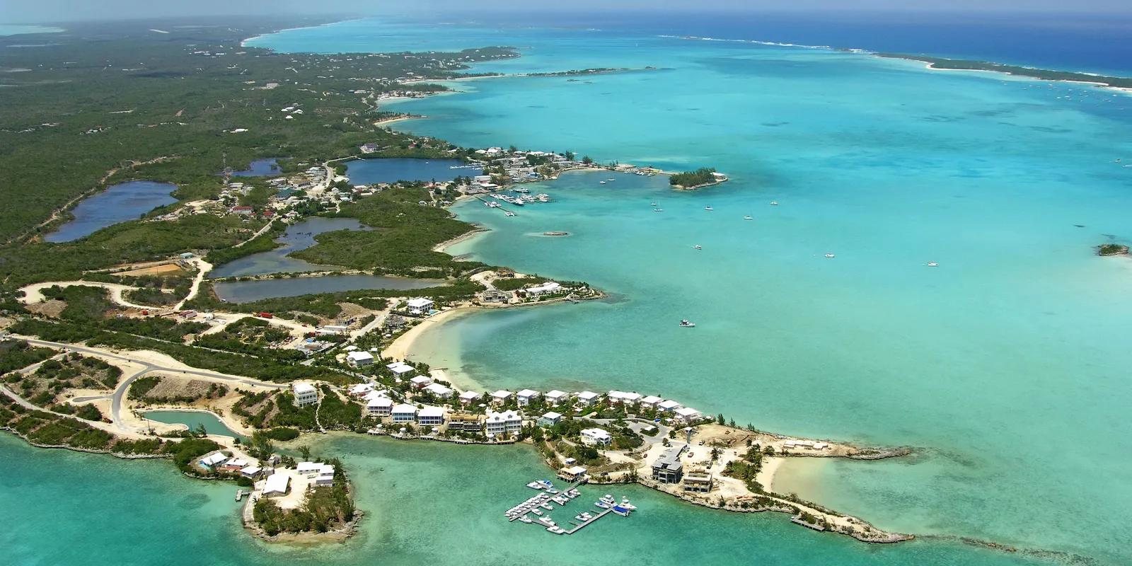 George Town: os porcos nadadores das Exuma