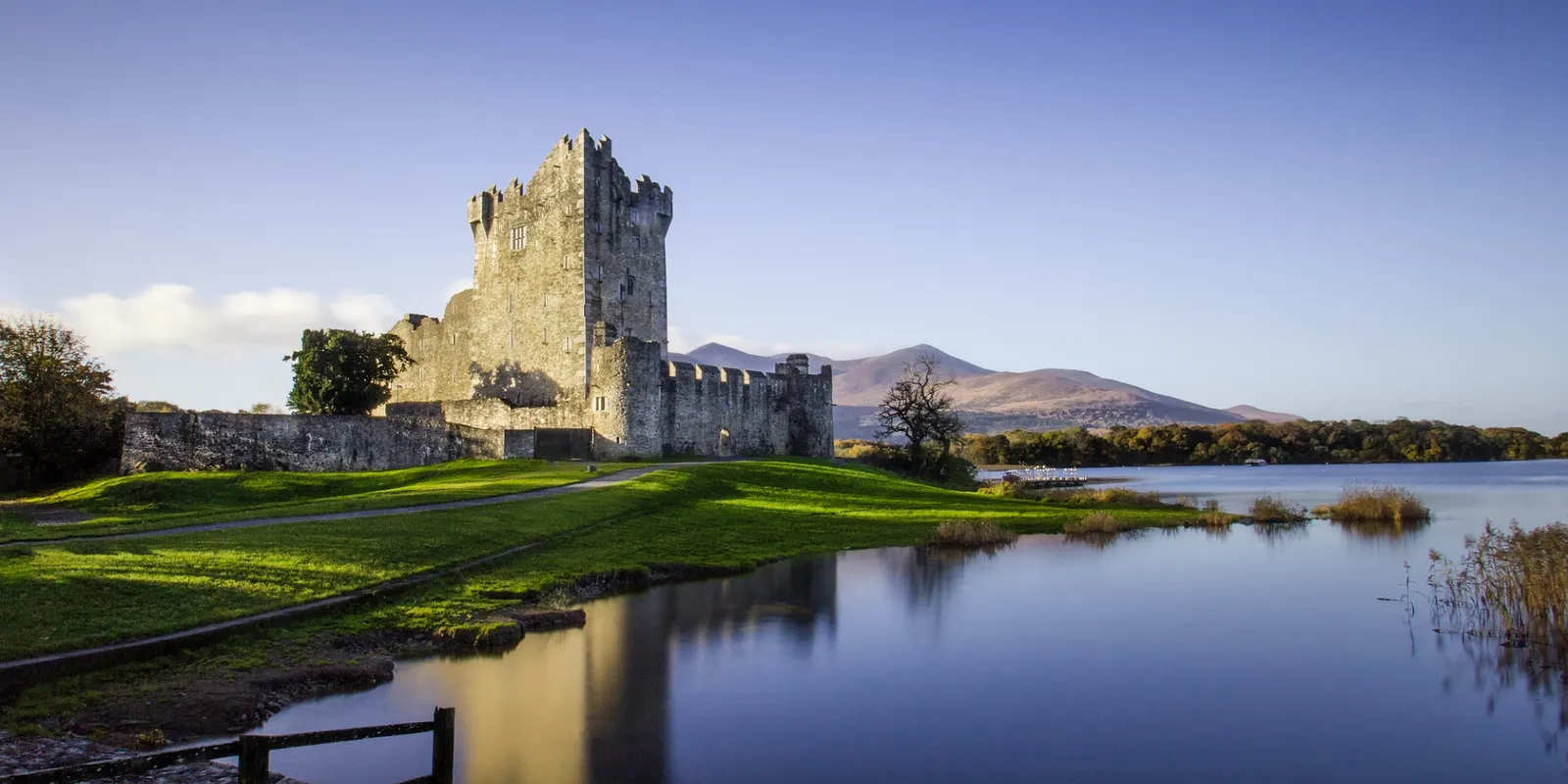 Killarney: laghi e cervi selvatici ai piedi del Ring of Kerry