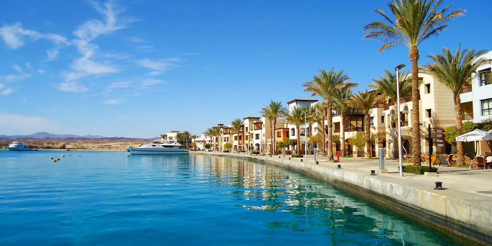 Marsa Alam: tartarughe e delfini del Mar Rosso