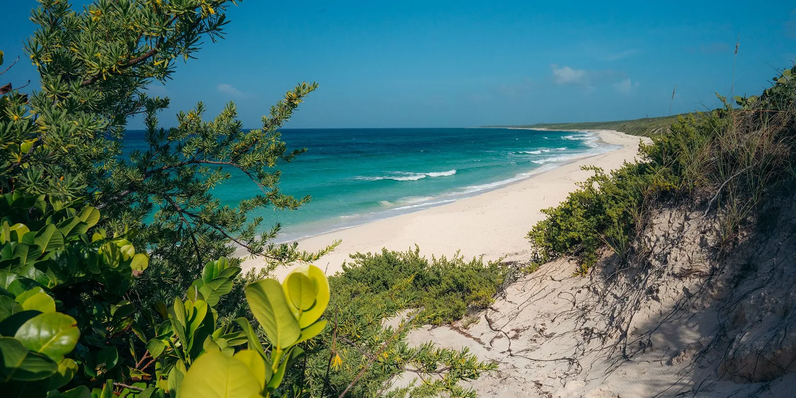North Eleuthera: a praia rosa de Harbour Island