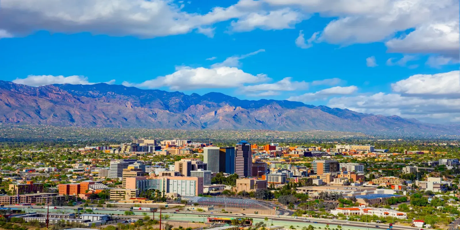 Tucson: tra i cactus giganti del Sonora