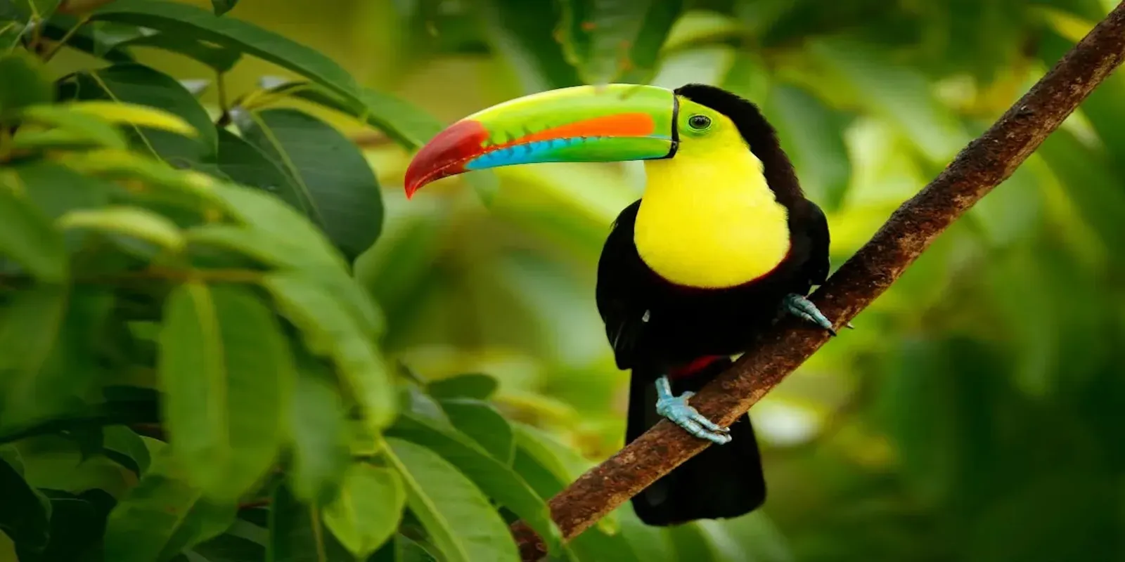 Costa Rica