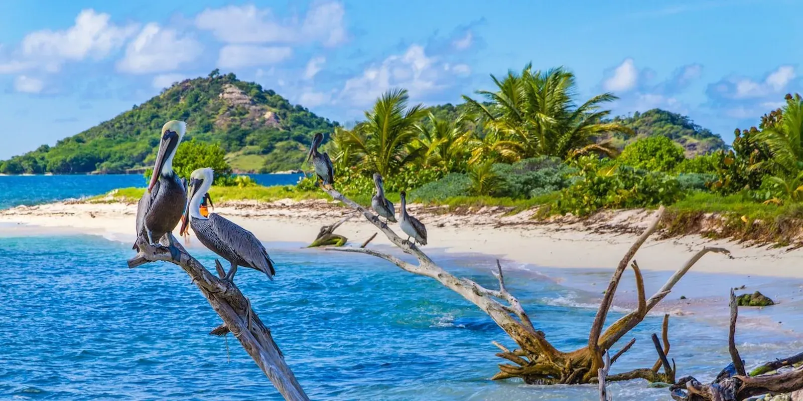 Grenada