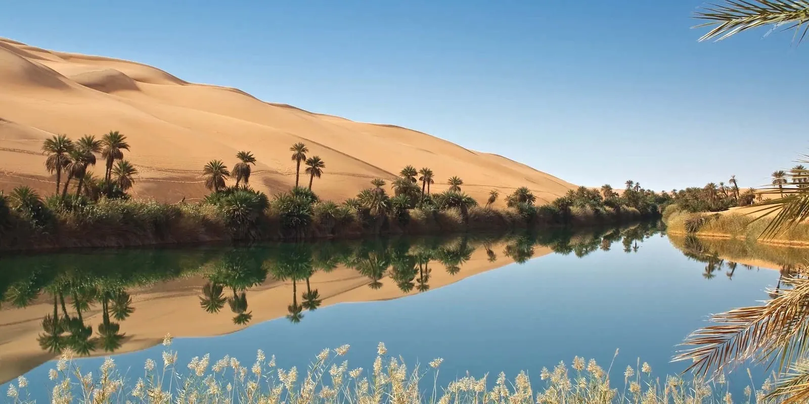 Libia
