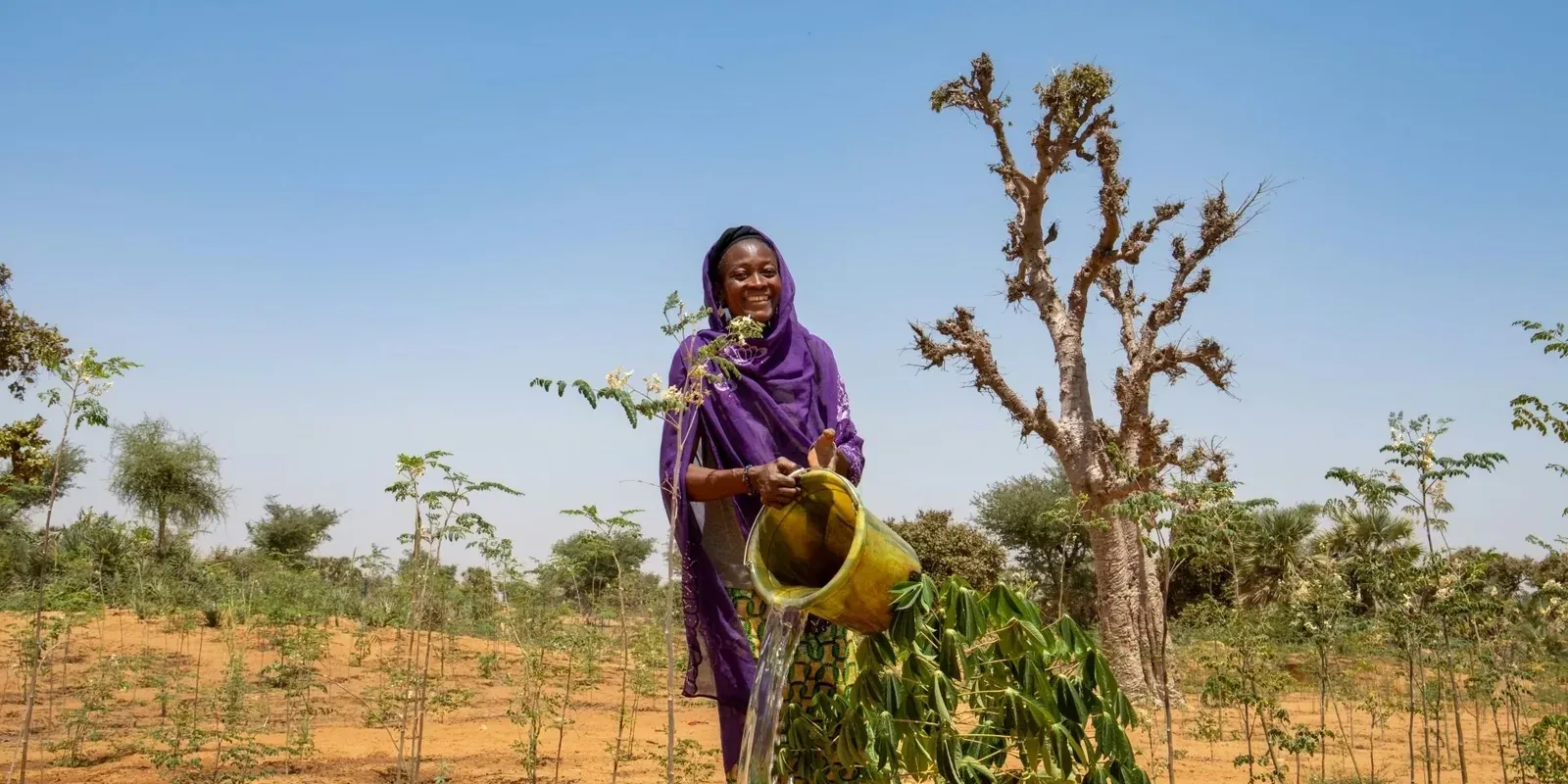 Niger
