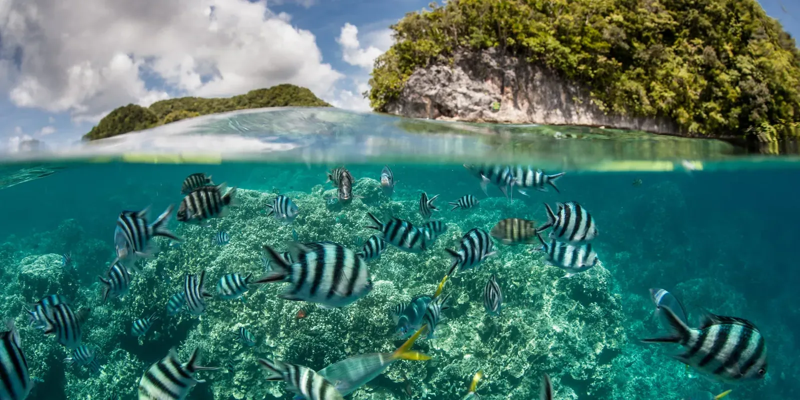 Palau