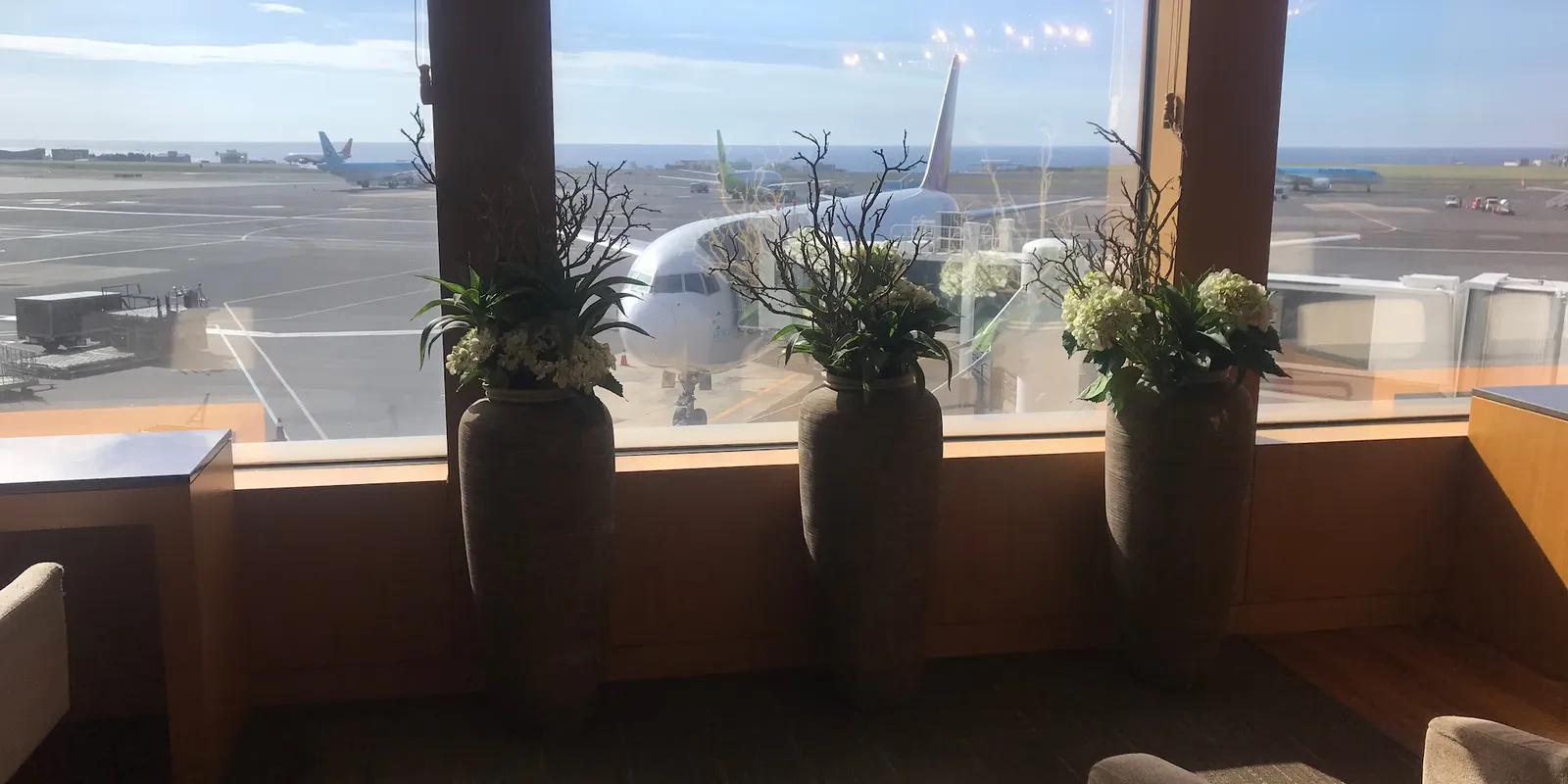 Lounge di Jeju: Korean Air o Asiana, come scegliere