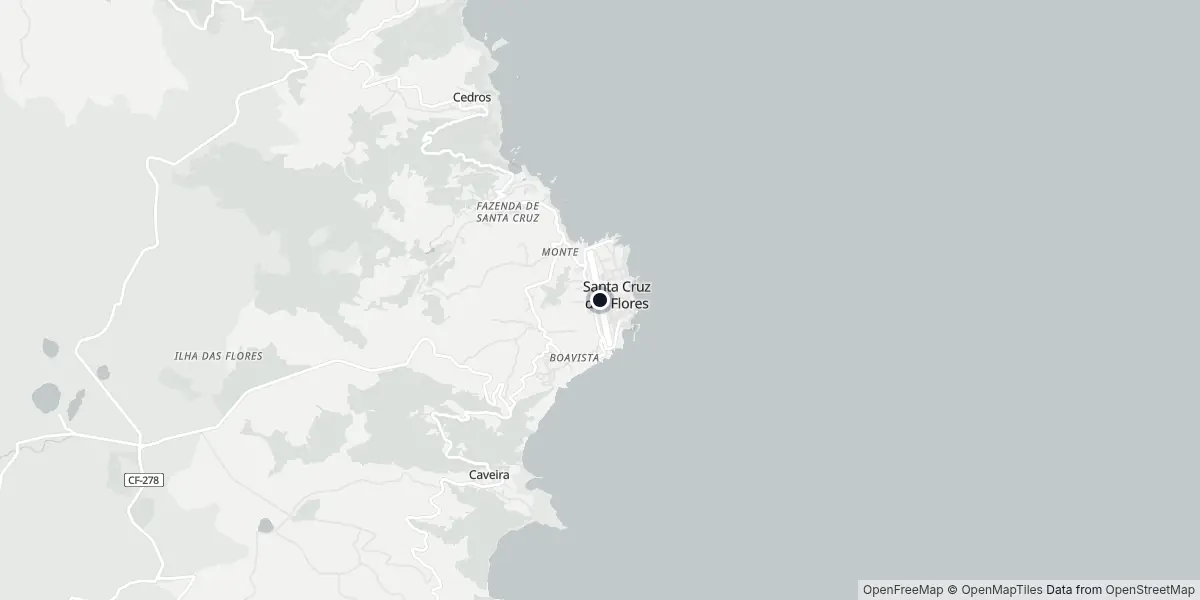 Mapa do Aeroporto de Flores